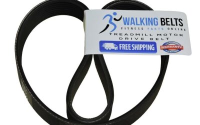 Walking Belts LLC – Trimline 2610.1E Treadmill Motor Drive Belt +1oz Lube