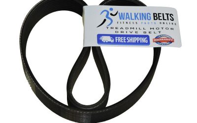 295184 Nordictrack Viewpoint Treadmill Motor Drive Belt + Free 1oz Lube