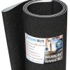 Walking Belts LLC - Life Fitness 93T S/N: THJ Running 2ply Sand Blast + 1oz Lube