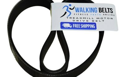 Walking Belts LLC – Cybex 400T Treadmill Motor Drive Belt + Free 1oz Lube