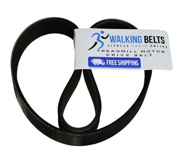 Walking Belts LLC - Cybex 400T Treadmill Motor Drive Belt + Free 1oz Lube