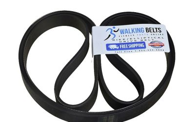 Walking Belts LLC – Life Fitness C3-0100-01 Alternator Lifecycle Drive Belt