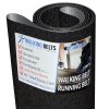 PFTL69820 ProForm CX10i Treadmill Running Belt 1ply Sand Blast + Free 1oz Lube - Image 3